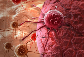 This `living drug` could wipe out cancer - VIDEO